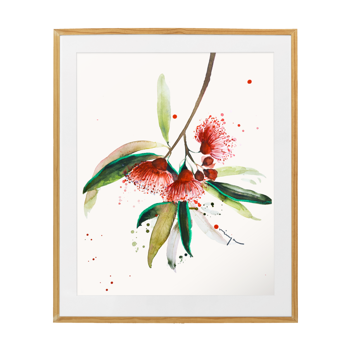 Australian native flower ~ Flowering Gum art print