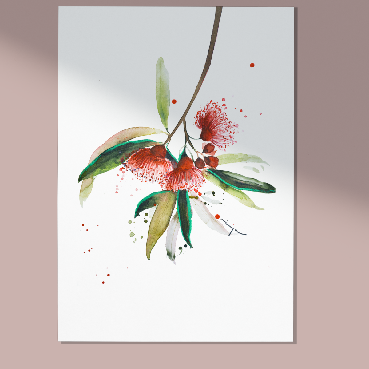 Australian native flower ~ Flowering Gum art print