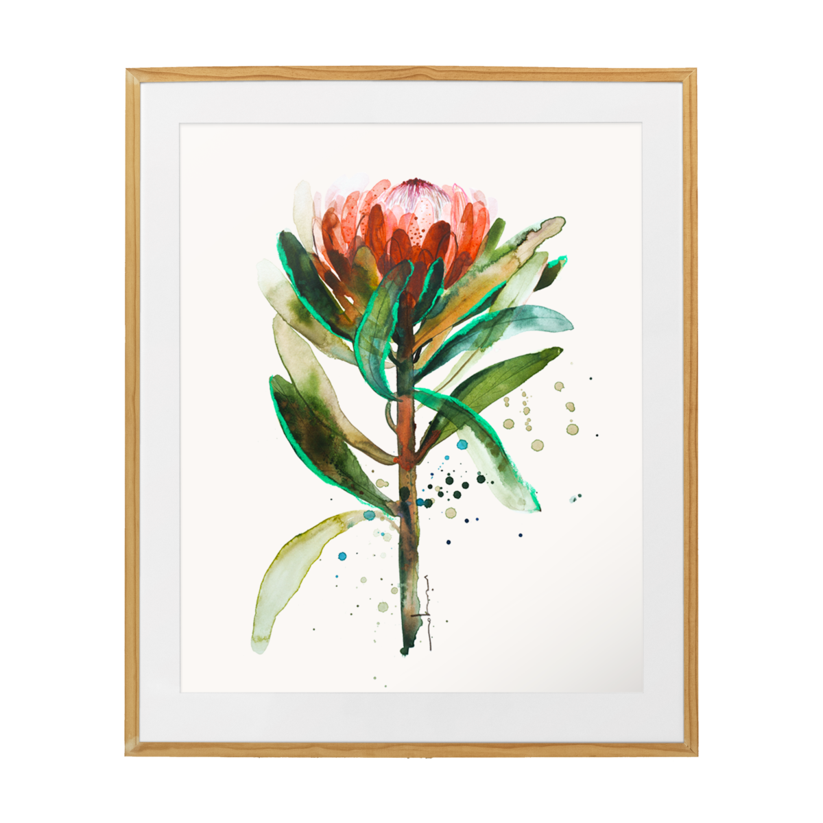 Australian native flower ~ Protea watercolour fine art print