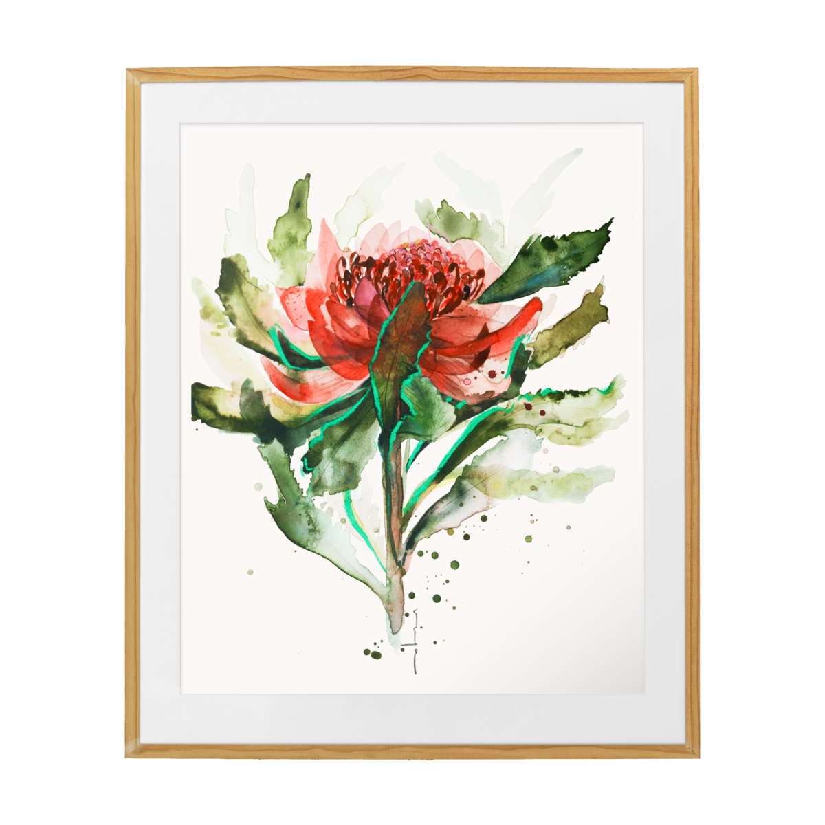 Exquisite Waratah Fine Art Print: Captivating Australian Botanical Wall Decor